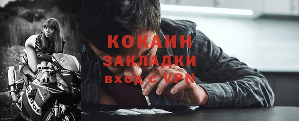 крисы Горняк