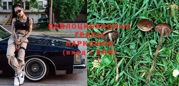 mix Вяземский