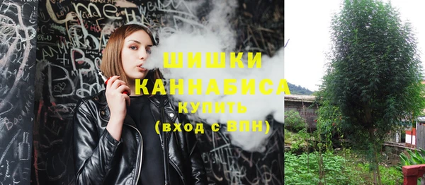 apvp Горнозаводск