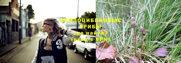 apvp Горнозаводск