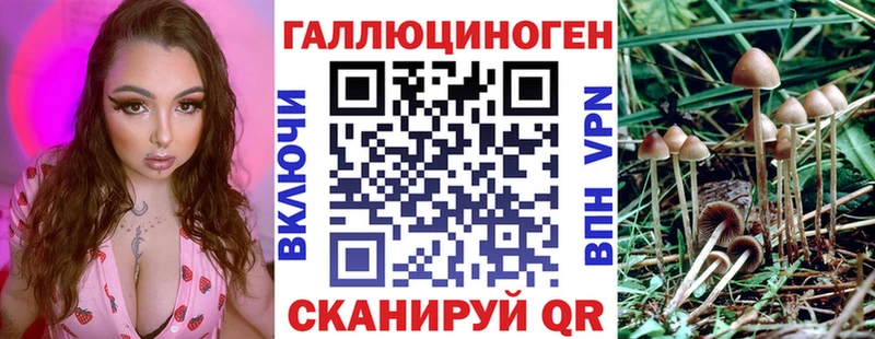 как найти   Чусовой  мориарти какой сайт  Псилоцибиновые грибы Psilocybe 